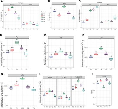 Metabolomics and physio-chemical analyses of mulberry plants leaves response to manganese deficiency and toxicity reveal key metabolites and their pathways in manganese tolerance